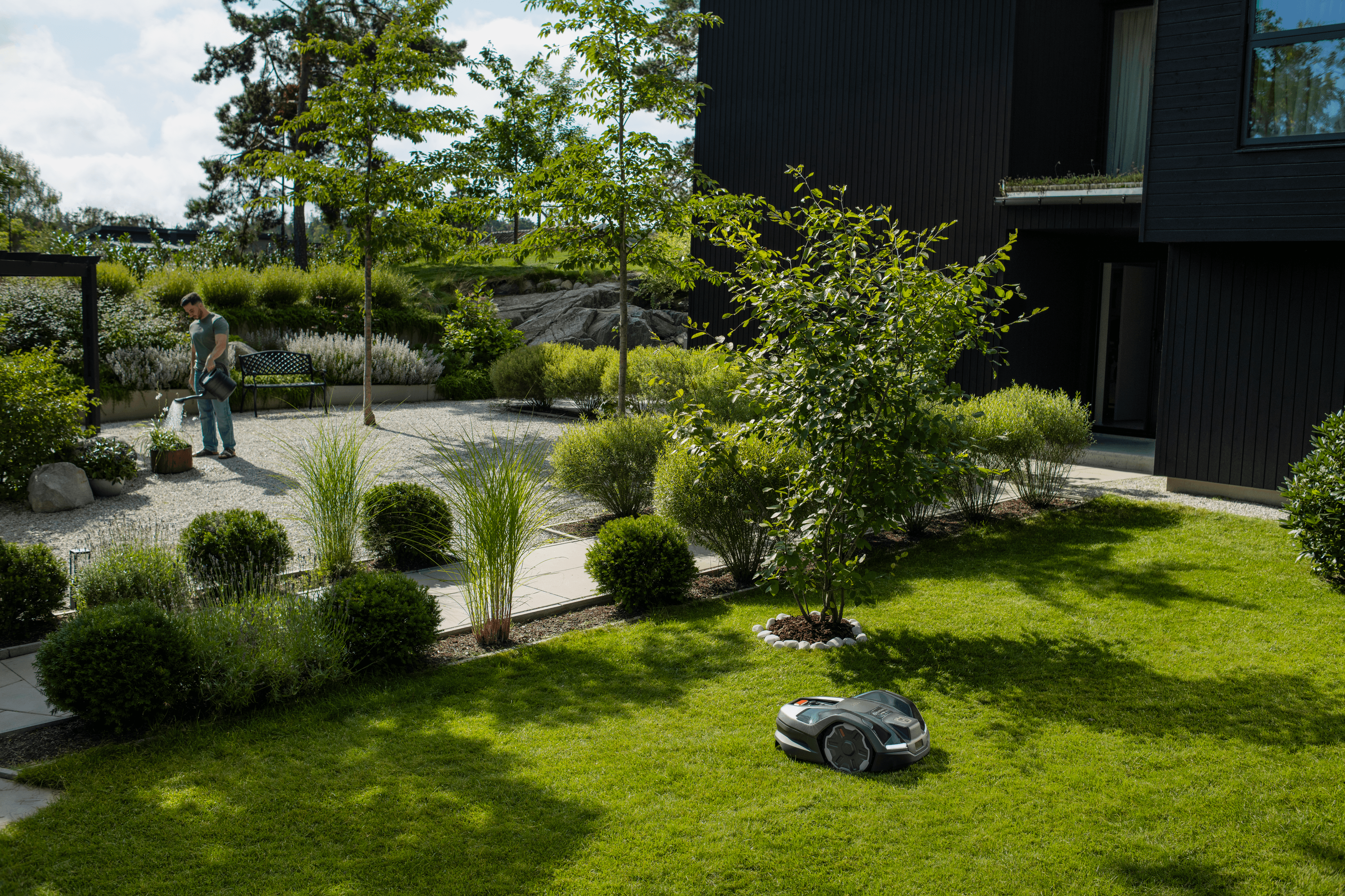 man holding polesaw whilst cutting tree